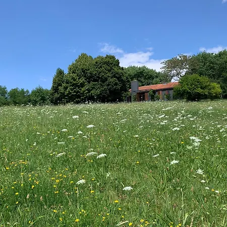 Tugurio. La Tua Casa Immersa Nel Villa Grumolo Pedemonte