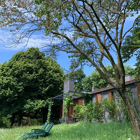 Tugurio. La Tua Casa Immersa Nel Villa