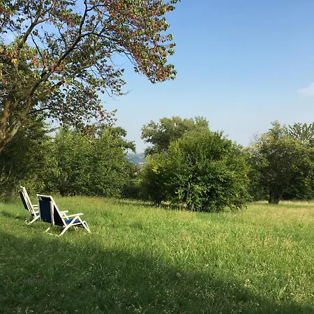 Tugurio. La Tua Casa Immersa Nel Villa *